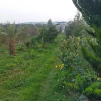 فروش زمین مازندران (ارطه وشیخ رجه)|فروش زمین و ملک کلنگی|ارطه, |دیوار