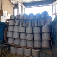 تولیدی|گل و گیاه طبیعی|لالجین, |دیوار