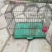 فروش