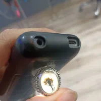 شجر تک درخت