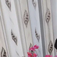 پرده پذیرایی