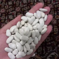 لوبیا سفید|عمده‌فروشی|اردبیل, |دیوار