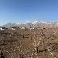 باغ ۲۲۱متری‌در‌جابان‌بابر۱۰متروسندتک‌برگ