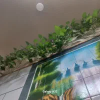 چادر برزنتی عشایری