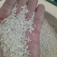 میان باری برنج فجر