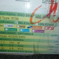 ریسه نوری شلنگ نوری