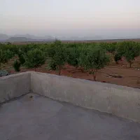 باغ|فروش زمین و ملک کلنگی|مبارکه, |دیوار