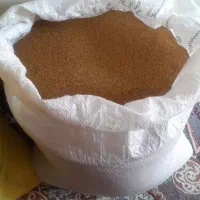 بذر یونجه محلی