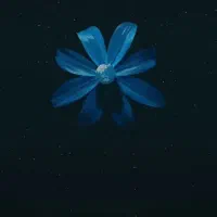 تور گردشگری