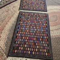 پادری تازه از دار افتاده