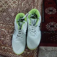 کفش والیبال|کیف، کفش، کمربند|گمیشان, |دیوار