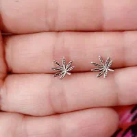 گل گوش نقره 925|جواهرات|شیراز, شهرک گلستان|دیوار