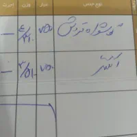 انگشتر گوشواره وربع سکه