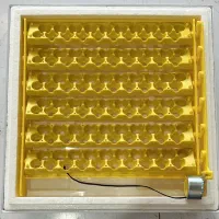 دستگاه جوجه کشی دیجیتال کاکس ۴۲عددی|لوازم جانبی حیوانات|تهران, ایران|دیوار