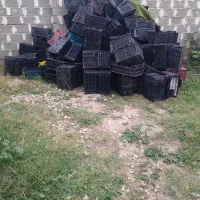 سبد سالم مناسب میوه