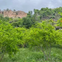 زمین مسکونی سند دار|فروش زمین و ملک کلنگی|شیراز, شهرک امیر کبیر|دیوار
