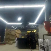 رست و پخش انواع دان قهوه عربیکا وربوستا