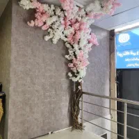 پخش کننده چمن مصنوعی، گرین وال و فنس  در نیشابور|مصالح و تجهیزات ساختمان|نیشابور, فردوس شمالی|دیوار