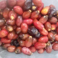 خرما تازه حاجی آباد