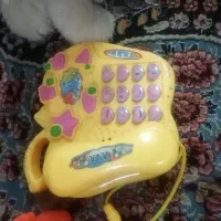 اسباب بازی درحد نو|اسباببازی|قم, نخودی|دیوار