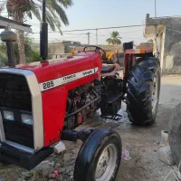 فرگوسن ۲۸۵