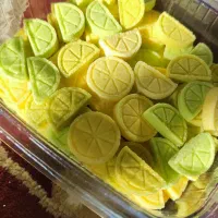 قند و نبات رنگی|خوردنی و آشامیدنی|مرودشت, فاز دوم شهرک فرهنگیان|دیوار