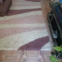 قالیچه و پادری