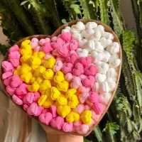 بهت آموزش میدم توی خونه پول دربیار