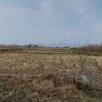 زمین جنب فاز یک