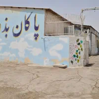 بوجاری انواع بذرها و حبوبات