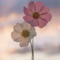 راهنمایی مرکز لیزر و بوتاکس