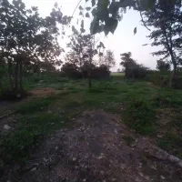 زمین مسکونی ۲۹۸ متر لشت نشا متری ۲۷۰۰|اجارهٔ آپارتمان|رشت, سعدی (تختی)|دیوار