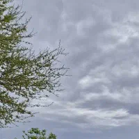 نیاز به وام ۲۰ ملیونی دارم