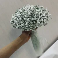 دیزاین ماشین عروس و دسته گل عروس|گل و گیاه طبیعی|اهواز, پادادشهر|دیوار
