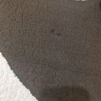 گلیم فرش|گلیم، جاجیم، گبه|کرمانشاه, |دیوار