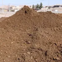 کود بارگاوی و کودمرغ گوشتی و گوسفندی