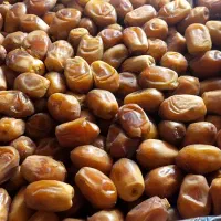 خرمارطب طوبی|خوردنی و آشامیدنی|مشهد, شهرک مهر آباد|دیوار