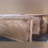 فروش عسل
