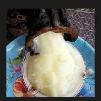 روغن بز سرحدی(روغن خش)|خوردنی و آشامیدنی|دهدشت, |دیوار