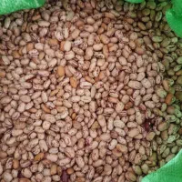 لوبیا چیتی|خوردنی و آشامیدنی|معمولان, |دیوار