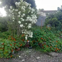اجاره-خانه