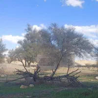 فروش-زمین-فوق-بکر