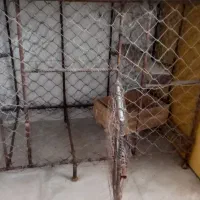 قفس آهنی بزرگ|لوازم جانبی حیوانات|بندر ماهشهر, |دیوار