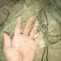 تور میدی بیاه