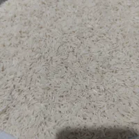 برنج هاشمی سورتینگ زده|خوردنی و آشامیدنی|رشت, آب آسیاب|دیوار