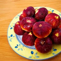 فروش انجیر تازه باغ در لارستان