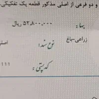 ۱۵۰۰ متر زمین باغ|فروش زمین و ملک کلنگی|ورامین, ورامین|دیوار