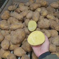 سیب زمینی و پیاز عمده - مروارید ساوالان|خوردنی و آشامیدنی|تهران, چیتگر جنوبی|دیوار