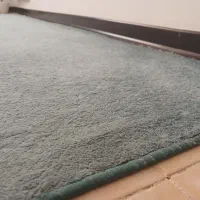 پالازموکت