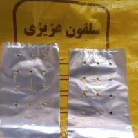 سلفون پانچدار
